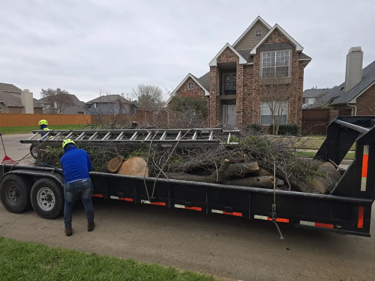 Expert Lot Clearing with proper safety equipment in Rockwell